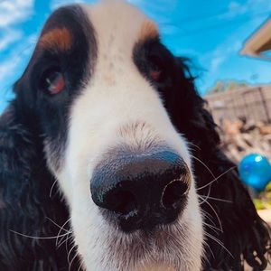 Meet your Posher, Carrie